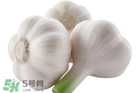 2017過年大蒜會漲價嗎？2017年春節大蒜價格預測