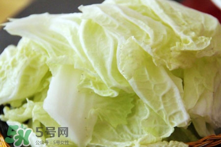 2017過年白菜會漲價嗎？2017年春節(jié)白菜價格預測