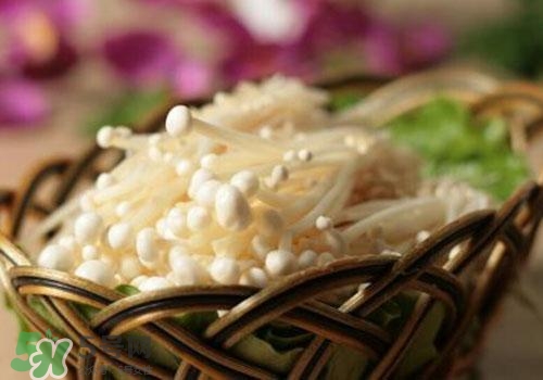 金針菇不能和什么一起吃？金針菇的食用禁忌