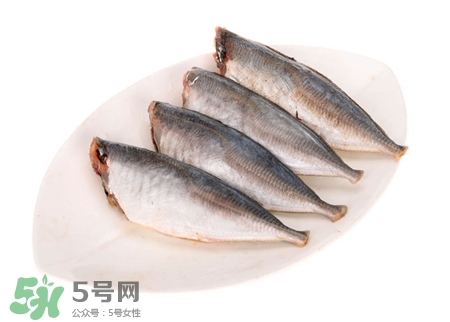 沙丁魚的營養價值 沙丁魚的功效與作用