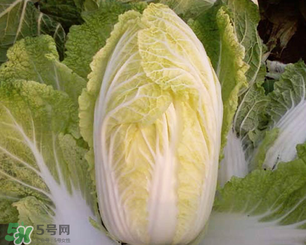 白菜葉子上的小黑點是什么？白菜葉子上有黑點能吃嗎？