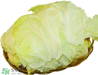 白菜發苦能吃嗎？大白菜發苦是什么原因？