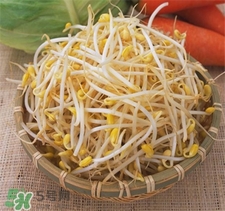 黃豆芽發黑了還能吃嗎?黃豆芽發黑了怎么辦?