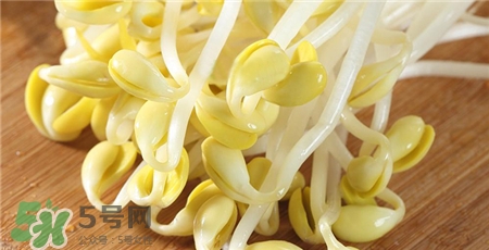 黃豆芽發黑了還能吃嗎?黃豆芽發黑了怎么辦?