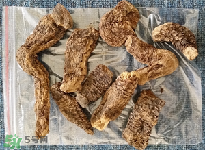 野生肉蓯蓉多少錢一斤？肉蓯蓉價格一斤多少錢？
