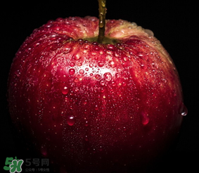 蘋(píng)果放在水里是沉還是浮？蘋(píng)果的密度是多少？