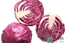 紫甘藍是轉基因食品嗎？紫甘藍是轉基因蔬菜嗎？