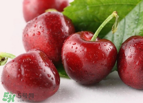 為什么吃車?yán)遄訒亲樱砍攒嚴(yán)遄永亲釉趺崔k？