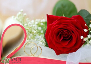 情人節送什么顏色的玫瑰花好？情人節送幾朵玫瑰花好？