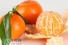 沙糖桔一天吃幾個最好？沙糖桔每天吃多少合適？
