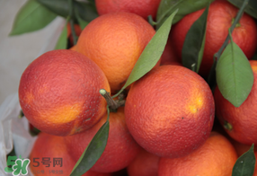 血橙多少錢一斤？四川血橙多少錢一斤？