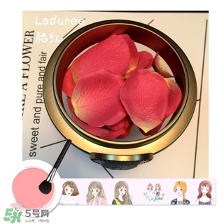 laduree拉杜麗5周年限定玫瑰腮紅多少錢？