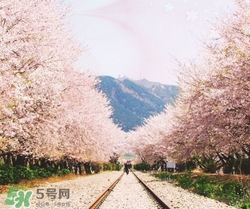 3月份去韓國穿什么？三月份去韓國穿什么衣服？