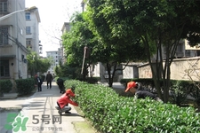 春天養生吃什么菜好？春季養生必吃四種養生菜