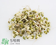 黃豆芽能做餡料嗎？黃豆芽餡包子怎么做？