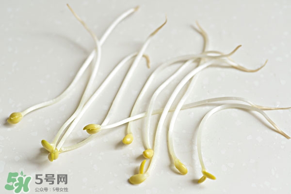 黃豆芽能做餡料嗎？黃豆芽餡包子怎么做？