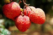坐飛機(jī)能帶荔枝嗎？荔枝可以帶上飛機(jī)嗎？