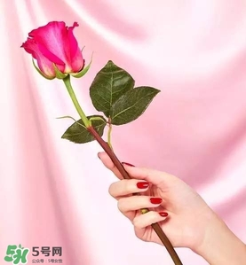 kate spade2017情人節包包多少錢？凱特絲蓓2017情人節包包哪里買？