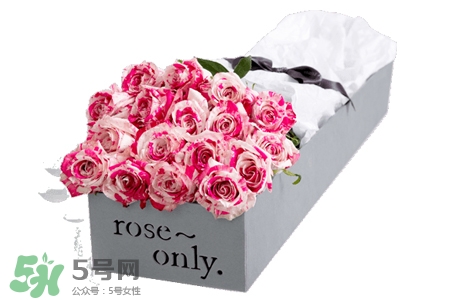 roseonly是什么花？roseonly是真花還是假花？