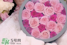 roseonly鮮花怎么保養(yǎng)？roseonly永生花怎么保養(yǎng)？