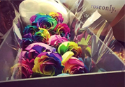 roseonly鮮花多少錢？roseonly永生花多少錢？
