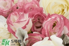 鮮花怎么養(yǎng)？鮮花怎么養(yǎng)放的比較久？