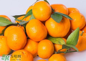 桔子批發多少錢一斤？桔子多少錢一斤？