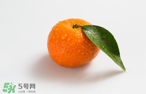 桔子批發多少錢一斤？桔子多少錢一斤？