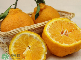 丑橘少錢一斤？丑橘一斤幾個？