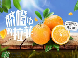 給寶寶吃臍橙好還是血橙好？臍橙好吃還是血橙好吃？