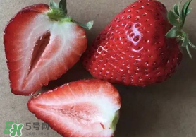 草莓空心能吃嗎？草莓空心怎么回事？