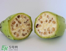野香蕉可以吃嗎？野香蕉怎么吃？