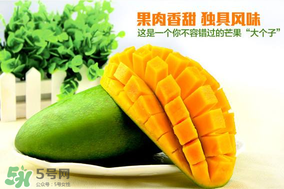 青芒果硬的能吃嗎？青芒果沒熟能吃嗎？