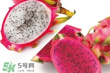 3月份有火龍果吃嗎？三月份可以吃火龍果嗎？