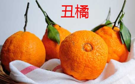 丑橘是酸性還是堿性 丑橘是幾月份的水果
