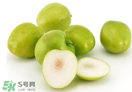 青棗可以泡酒嗎？青棗泡酒喝有什么好處？
