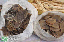 穿山甲下奶怎么吃？穿山甲下奶效果好嗎？