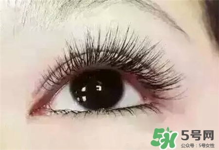 孕睫術是什么？孕睫術有用嗎？