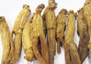 高麗參適合什么人吃？什么人不能吃高麗參？