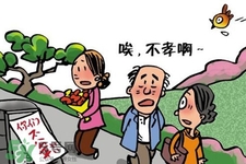 清明節掃墓用什么花？清明節上墳帶什么花？
