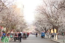 倒春寒吃什么好？倒春寒吃什么養生？