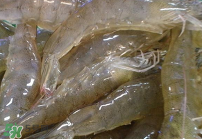 活蝦灌膠水是真的嗎？活蝦灌膠水人吃了會有什么害處？