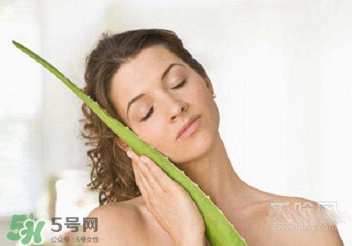 蘆薈涂在臉上發(fā)癢是怎么回事？蘆薈涂在臉上發(fā)癢怎么辦？