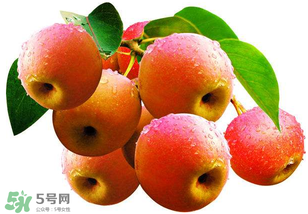 南國梨為什么有酒味？南果梨有酒味能吃嗎？