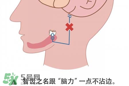 智齒會引起耳鳴嗎？耳鳴跟智齒有關系嗎？