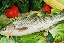 草魚能生吃嗎？草魚可以直接生吃嗎？