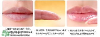 愛麗小屋唇部磨砂膏怎么樣？愛麗小屋唇部磨砂膏和悅詩風吟哪個好？