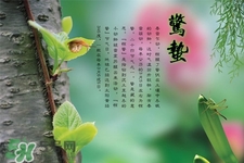 驚蟄節氣吃什么水果？驚蟄養生吃什么水果好？