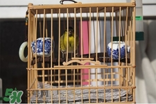 禽流感期間能接觸鳥糞嗎？碰到鳥糞會(huì)得禽流感嗎？