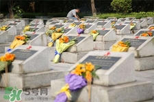 3月份可以掃墓嗎？三月份可以上墳嗎？
